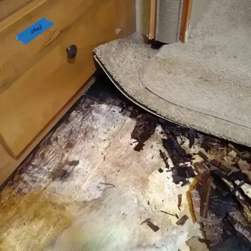 Wood Floor Water Damage in Moorhead, MS